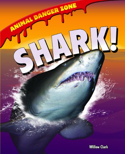 Shark! by Willow Clark