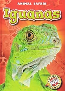 Iguanas