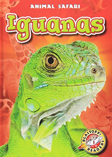 Iguanas by Chris Bowman