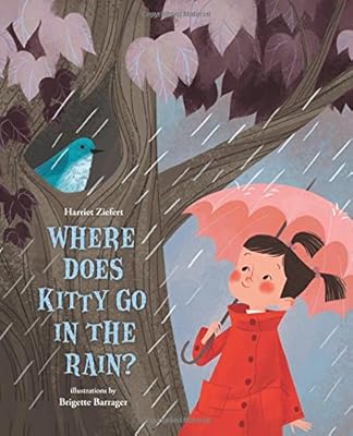 Where Does Kitty Go in the Rain?