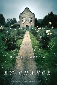 By Chance: A Novel