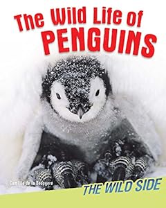 The Wild Life of Penguins