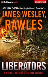 Liberators: A Novel of the Coming Global Collapse
