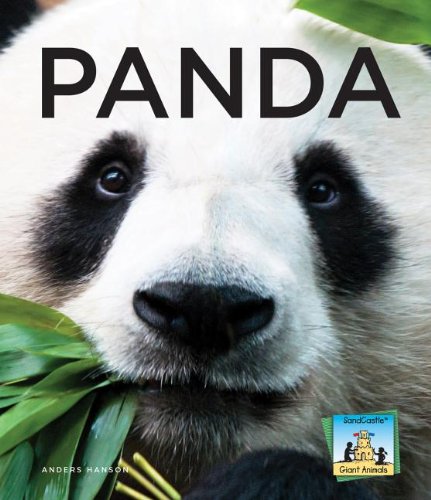 Panda by Anders Hanson