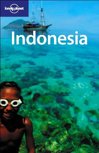 Indonesia by Ryan Ver Berkmoes