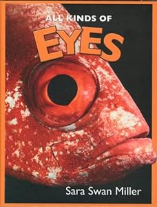 All Kinds of Eyes (All Kinds Of...(Marshall Cavendish))