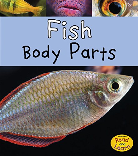 Fish Body Parts by Clare Lewis