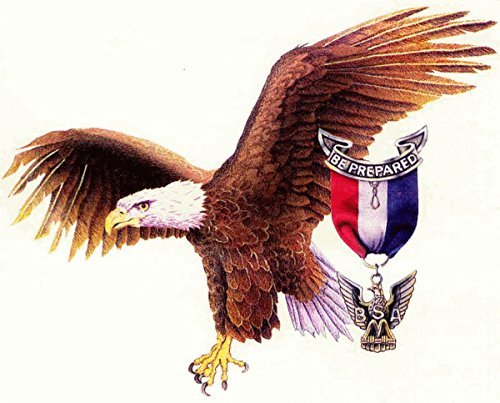 American Eagle Scout Edible Cake Topper Frosting 1/4 Sheet Birthday Party