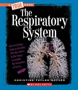 The Respiratory System