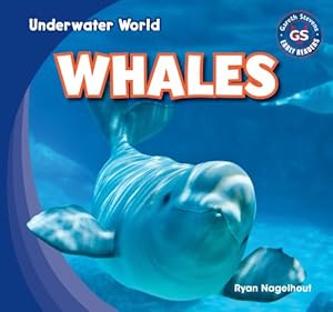 Whales