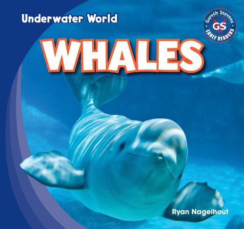 Whales by Ryan Nagelhout