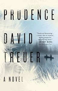 Prudence : a novel by David Treuer