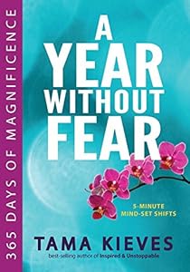 A Year Without Fear: 365 Days of Magnificence by Tama Kieves