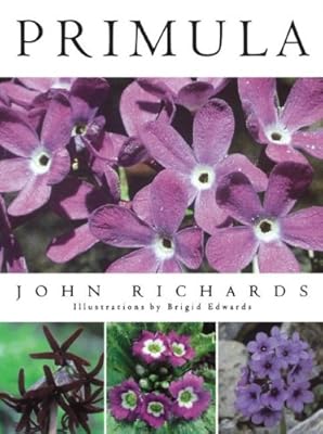 Primula