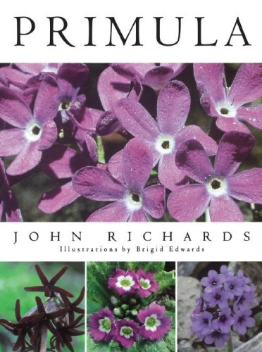 Primula by John Richards