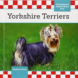 Yorkshire terriers
