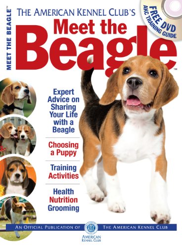 Meet the Beagle (American Kennel Club Meet The...) by American Kennel Club