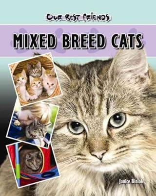 Mixed Breed Cats