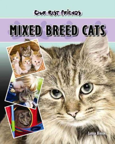 Mixed Breed Cats by Janice Biniok