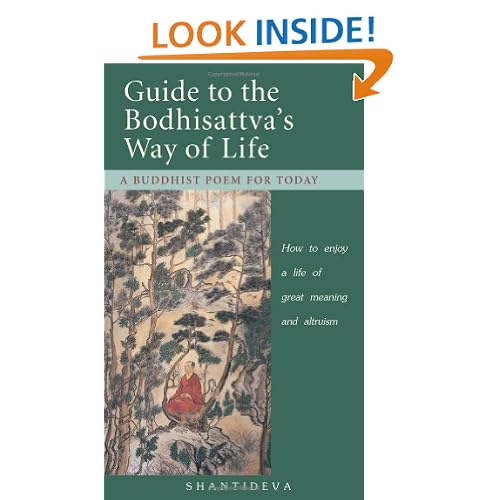 Guide to the Bodhisattva's Way of Life: A Buddhist Poem for Today