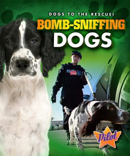 Bomb-sniffing dogs by Sara Green