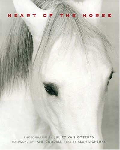 Heart of the Horse by Alan Lightman