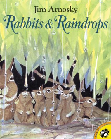Rabbits and Raindrops by Jim Arnosky