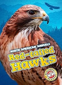 Red-Tailed Hawks
