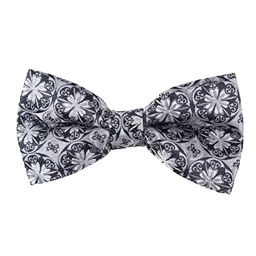 EBD7B01-05 Multi Paisley Creative Store Microfiber Pre-tied Bowtie By Epoint