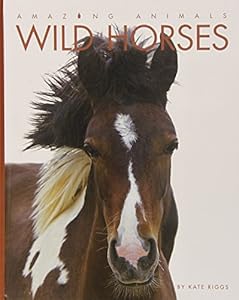 Wild Horses