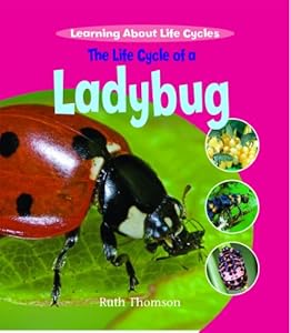 The Life Cycle of a Ladybug (Learning about Life Cycles)