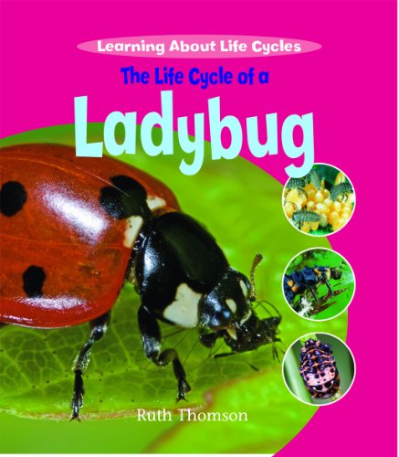 The Life Cycle of a Ladybug (Learning about Life Cycles) by Ruth Thomson