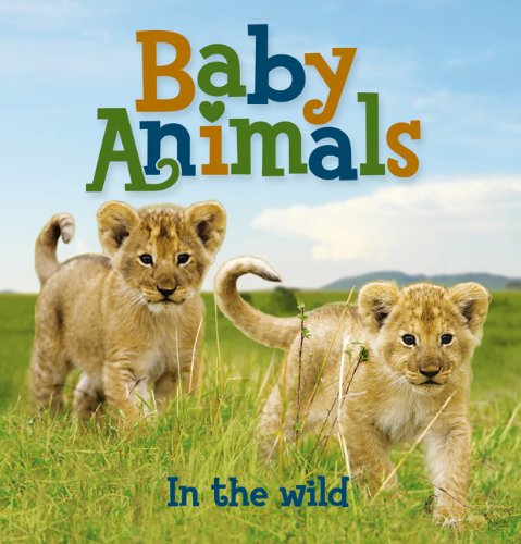 Baby Animals In the Wild by Editors of Kingfisher