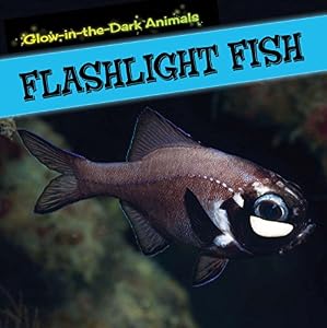Flashlight Fish