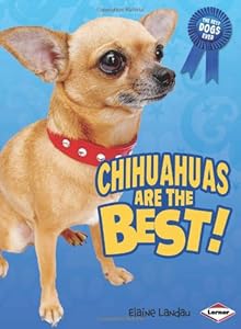 Chihuahuas Are the Best!