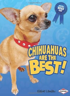 Chihuahuas Are the Best!