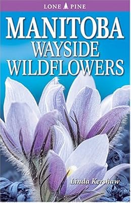 Manitoba Wayside Wildflowers