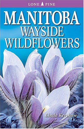Manitoba Wayside Wildflowers by Linda Kershaw