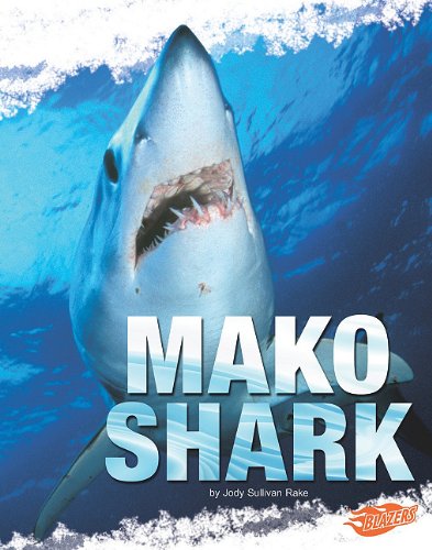 Mako Shark by Jody Sullivan Rake