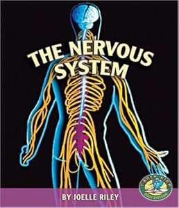 The Nervous System