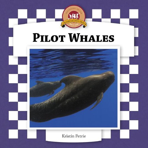 Pilot Whales (Whales Set II) by Kristin Petrie