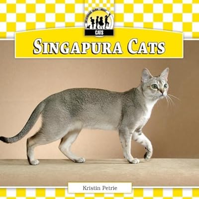 Singapura Cats