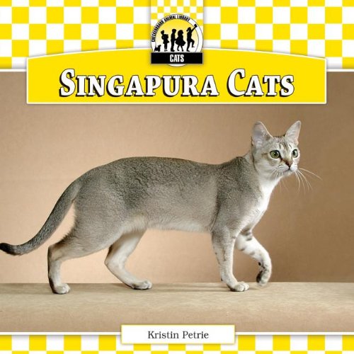 Singapura Cats by Kristin Petrie