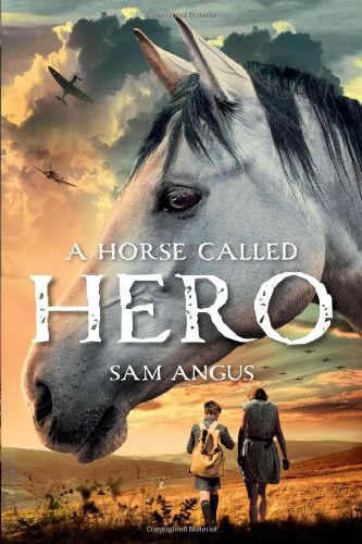 A Horse Called Hero by Sam Angus