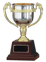 Win エイブルウィン カップ FS-125E