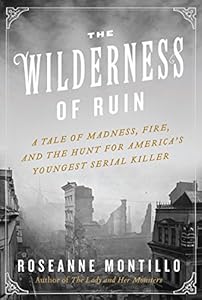 The Wilderness of Ruin: A Tale of Madness, Fire, and the Hunt for America's Youngest Serial Killer