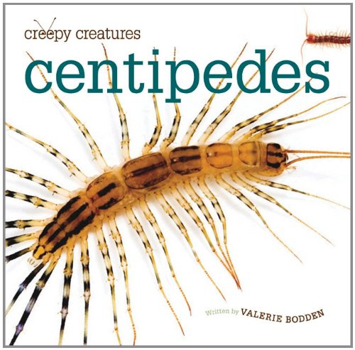 Centipedes by Valerie Bodden
