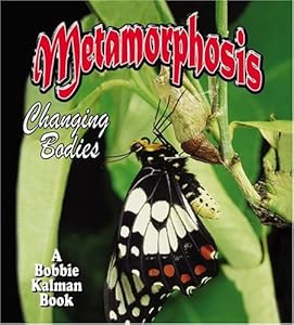 Metamorphosis : changing bodies