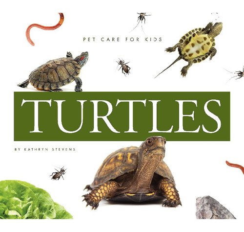 Turtles by Kathryn Stevens