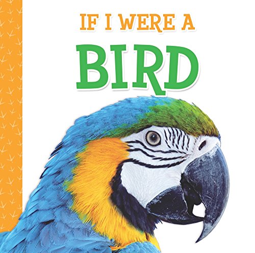 If I Were A Bird by Laura Gates Galvin